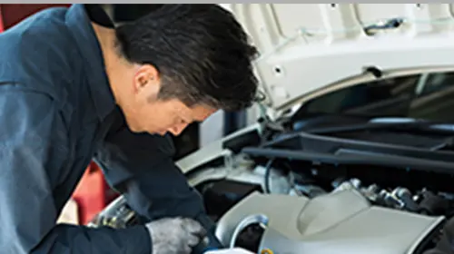 整備士が車を点検している様子