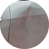 さまざまな傷